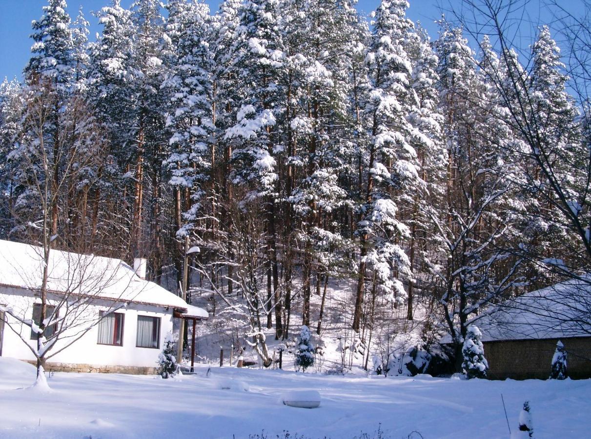 Holiday Home Tanevi Triawna Zewnętrze zdjęcie