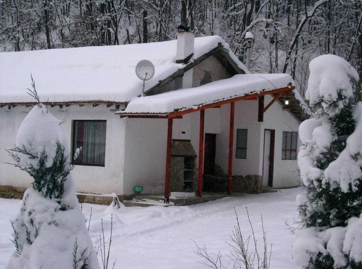 Holiday Home Tanevi Triawna Zewnętrze zdjęcie